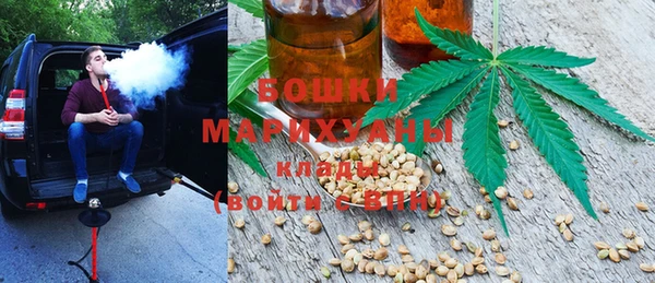 сатива Армянск