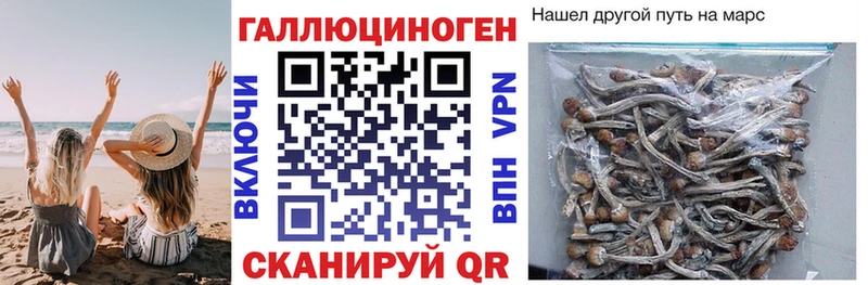Галлюциногенные грибы мухоморы kraken сайт Ногинск где купить