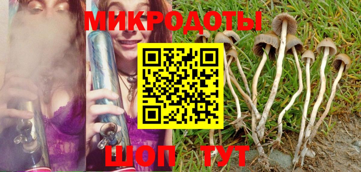 Галлюциногенные грибы MAGIC MUSHROOMS  Вход с VPN  Ногинск 
