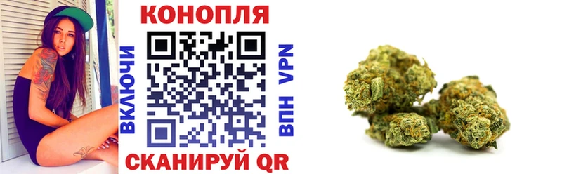 Канабис планчик  сколько стоит  kraken зеркало  Ногинск 
