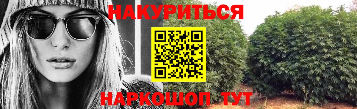 Каннабис сатива  Вход с VPN  Бошки марихуана семена  Ногинск  Бошки Шишки SATIVA & INDICA  Шишки марихуана план 